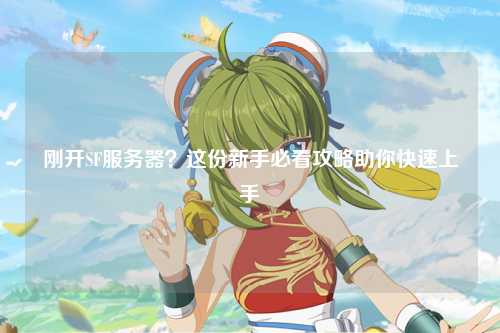 剛開SF服務(wù)器？這份新手必看攻略助你快速上手