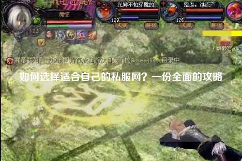 如何選擇適合自己的私服網(wǎng)？一份全面的攻略