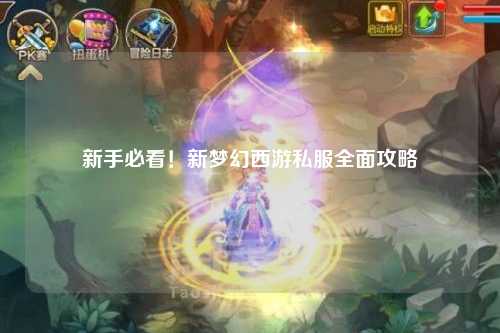 新手必看！新夢幻西游私服全面攻略