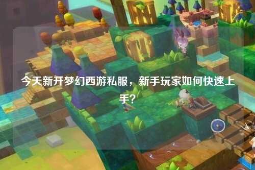 今天新開夢幻西游私服，新手玩家如何快速上手？