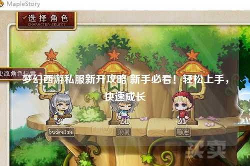 夢(mèng)幻西游私服新開(kāi)攻略 新手必看！輕松上手，快速成長(zhǎng)