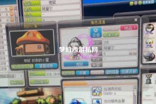 夢幻西游私網(wǎng)